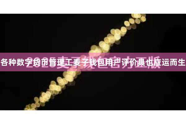 各种数字货币管理工麦子钱包用户评价具也应运而生