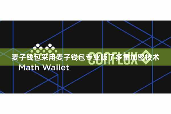 麦子钱包采用麦子钱包专业版了多重加密技术