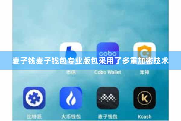 麦子钱麦子钱包专业版包采用了多重加密技术