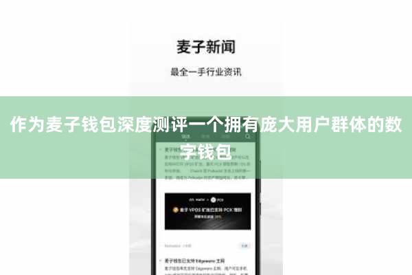 作为麦子钱包深度测评一个拥有庞大用户群体的数字钱包