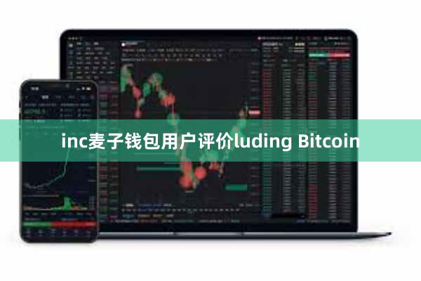 inc麦子钱包用户评价luding Bitcoin
