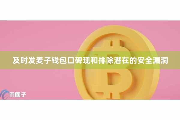 及时发麦子钱包口碑现和排除潜在的安全漏洞