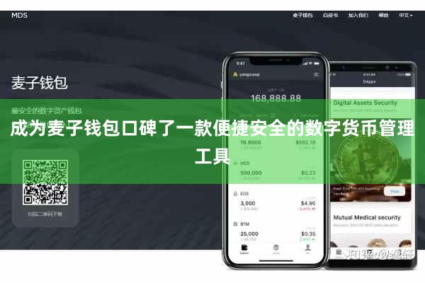 成为麦子钱包口碑了一款便捷安全的数字货币管理工具