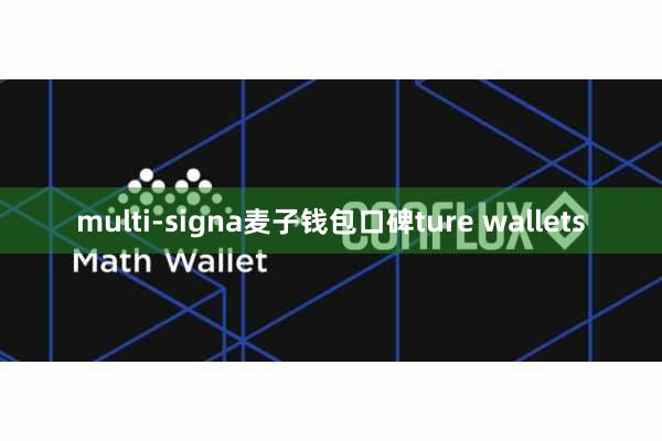 multi-signa麦子钱包口碑ture wallets