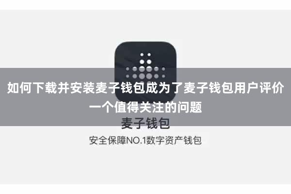 如何下载并安装麦子钱包成为了麦子钱包用户评价一个值得关注的问题