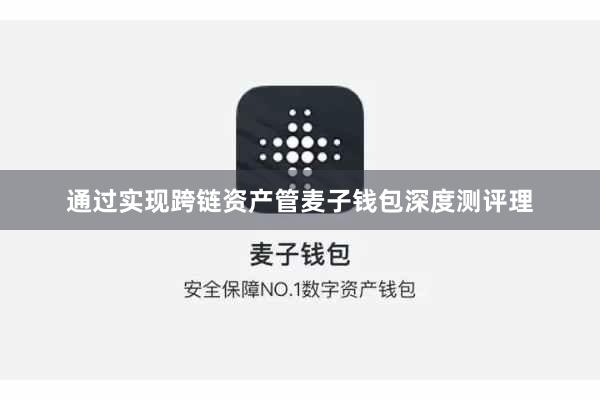 通过实现跨链资产管麦子钱包深度测评理