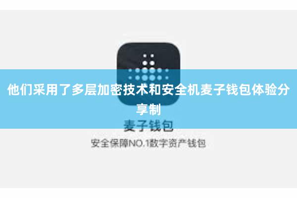 他们采用了多层加密技术和安全机麦子钱包体验分享制