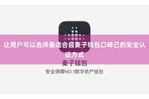 让用户可以选择最适合自麦子钱包口碑己的安全认证方式