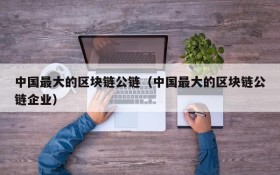 中国最大的区块链公链（中国最大的区块链公链企业）
