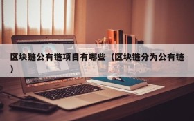 区块链公有链项目有哪些(区块链分为公有链)