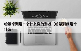 哈希绿洲是一个什么样的游戏(哈希到底是个什么)