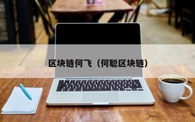 区块链何飞(何聪区块链)