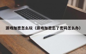 游戏加密怎么玩(游戏加密忘了密码怎么办)