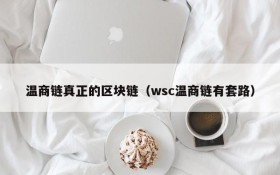 温商链真正的区块链(wsc温商链有套路)