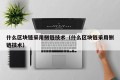什么区块链采用侧链技术（什么区块链采用侧链技术）