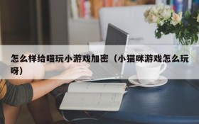 怎么样给喵玩小游戏加密(小猫咪游戏怎么玩呀)
