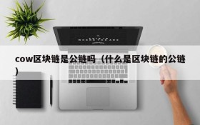 cow区块链是公链吗(什么是区块链的公链)