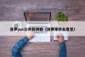 菠萝psc公共区块链（菠萝币什么意思）