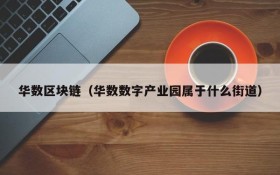 华数区块链(华数数字产业园属于什么街道)