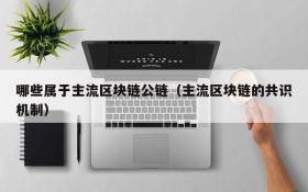 哪些属于主流区块链公链(主流区块链的共识机制)