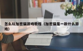 怎么玩加密猫游戏教程（加密猫是一款什么游戏）
