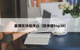 最强区块链风口(区块链top30)