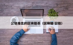 公链推出的区块链币(区块链 公链)