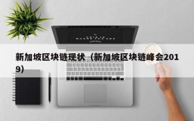 新加坡区块链现状(新加坡区块链峰会2019)