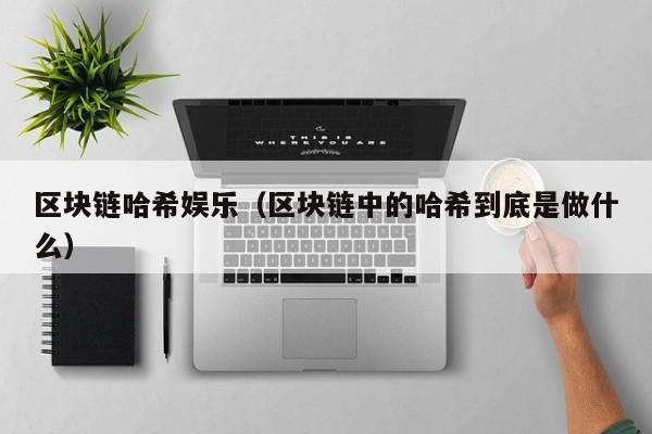 区块链哈希娱乐（区块链中的哈希到底是做什么）