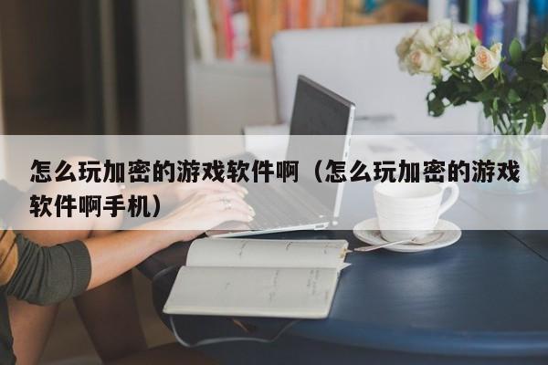 怎么玩加密的游戏软件啊（怎么玩加密的游戏软件啊手机）