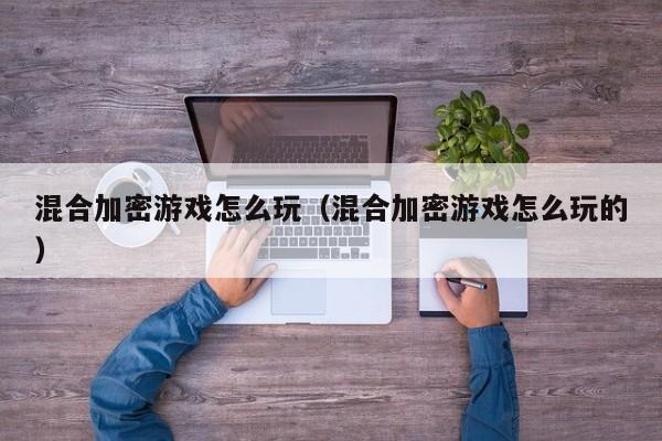 混合加密游戏怎么玩（混合加密游戏怎么玩的）