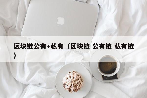 区块链公有+私有（区块链 公有链 私有链）