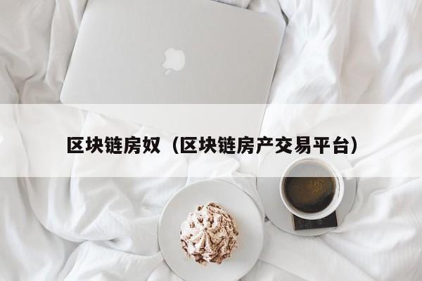 区块链房奴（区块链房产交易平台）