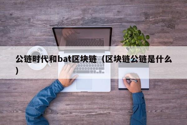 公链时代和bat区块链（区块链公链是什么）