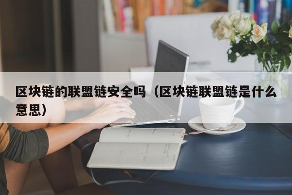 区块链的联盟链安全吗（区块链联盟链是什么意思）