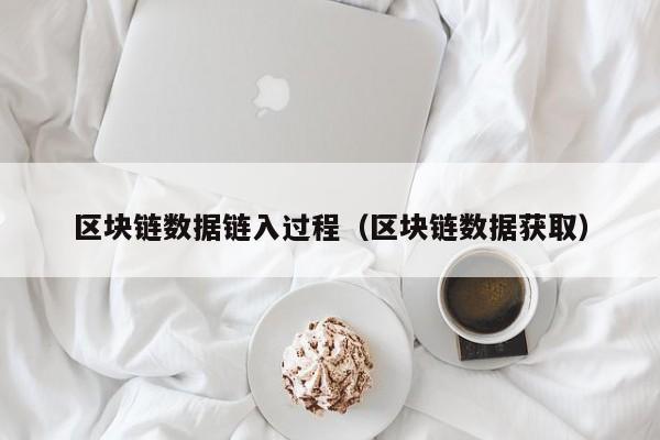 区块链数据链入过程（区块链数据获取）