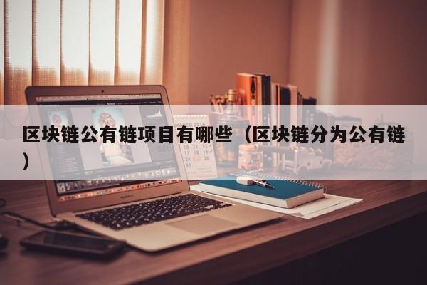 区块链公有链项目有哪些（区块链分为公有链）