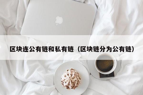 区块连公有链和私有链（区块链分为公有链）