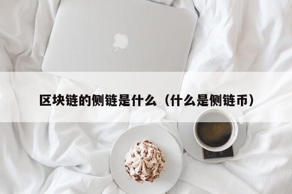 区块链的侧链是什么（什么是侧链币）