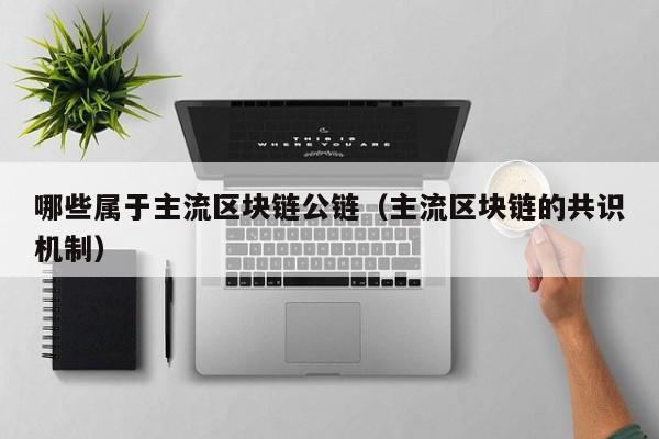 哪些属于主流区块链公链（主流区块链的共识机制）