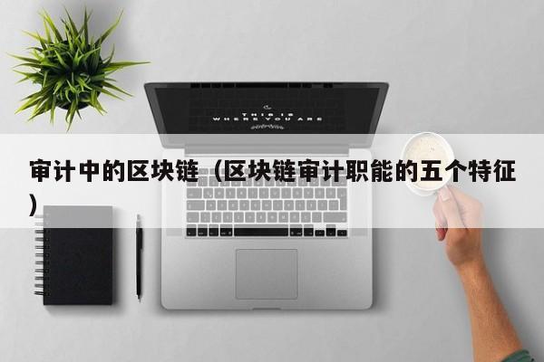 审计中的区块链（区块链审计职能的五个特征）