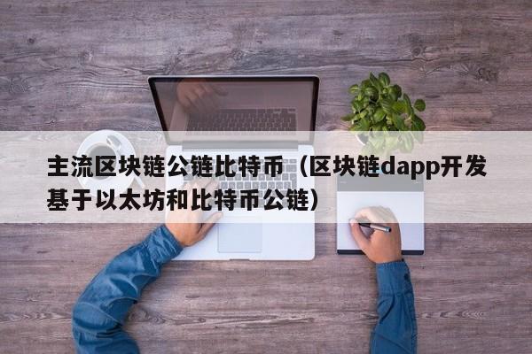 主流区块链公链比特币（区块链dapp开发基于以太坊和比特币公链）