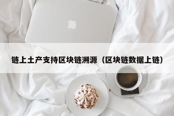 链上土产支持区块链溯源（区块链数据上链）