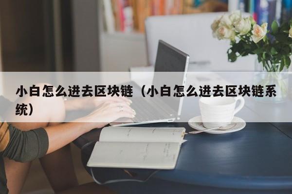 小白怎么进去区块链（小白怎么进去区块链系统）