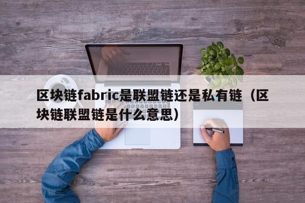 区块链fabric是联盟链还是私有链（区块链联盟链是什么意思）